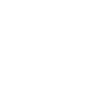 Logo CGS blanc